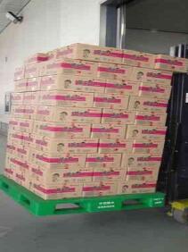 食品行業(yè)倉(cāng)儲(chǔ)用塑料托盤